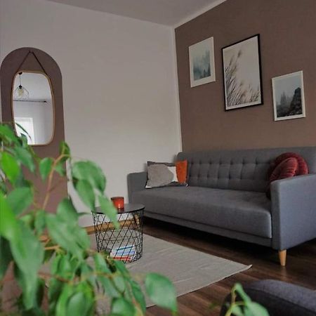 Cozy Apart Toplita Buitenkant foto