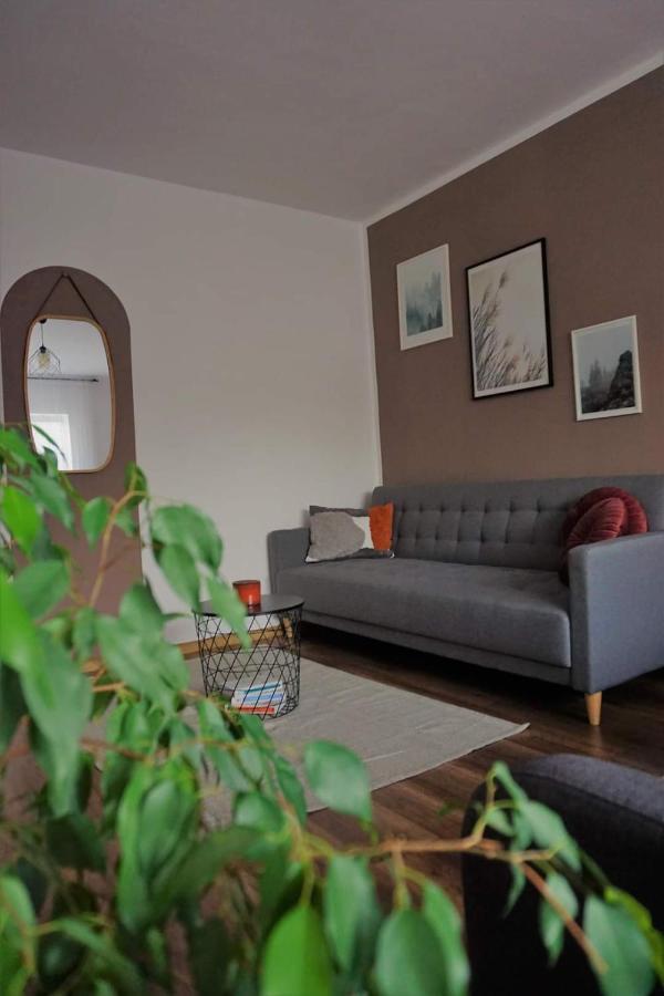 Cozy Apart Toplita Buitenkant foto