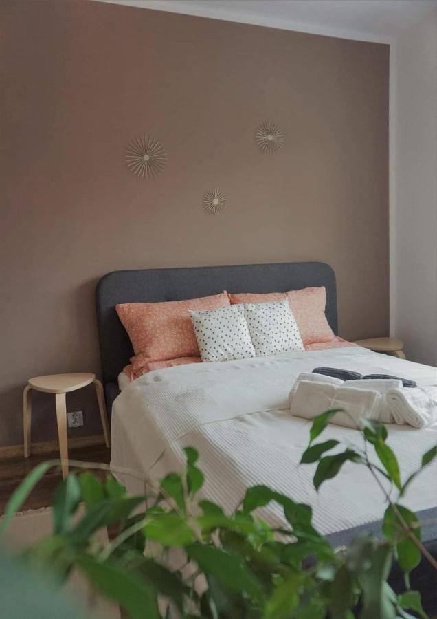 Cozy Apart Toplita Buitenkant foto